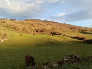 Familia, ni@s, naturaleza... MARAVILLOSO 