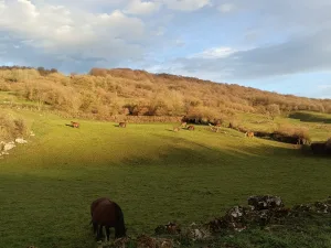 Familia, niñ@s, naturaleza... MARAVILLOSO 